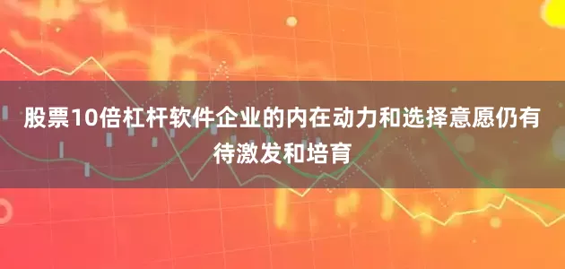 股票10倍杠杆软件企业的内在动力和选择意愿仍有待激发和培育