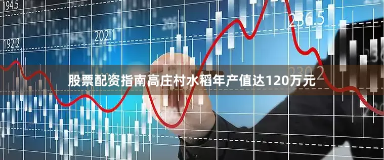 股票配资指南高庄村水稻年产值达120万元